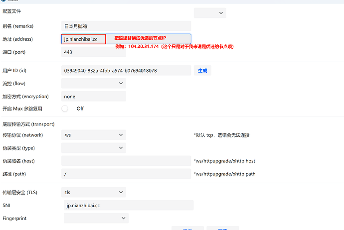 如何利用纯IPV6的VPS搭建节点