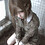 lilili1